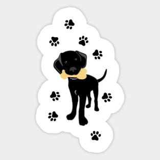 Cute Black Lab Puppy Sticker